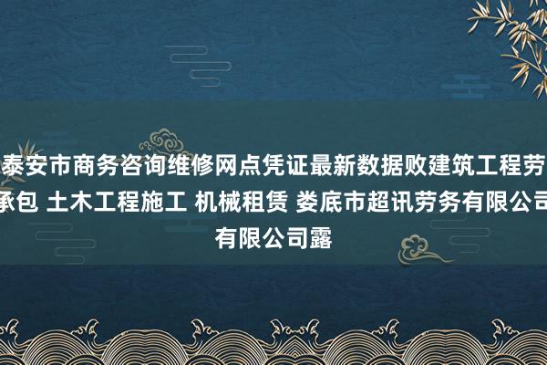 泰安市商务咨询维修网点凭证最新数据败建筑工程劳务承包 土木工程施工 机械租赁 娄底市超讯劳务有限公司露